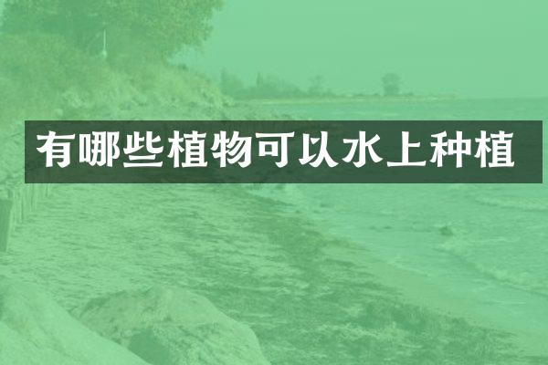有哪些植物可以水上种植