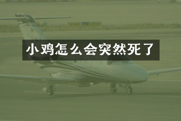小鸡怎么会突然死了