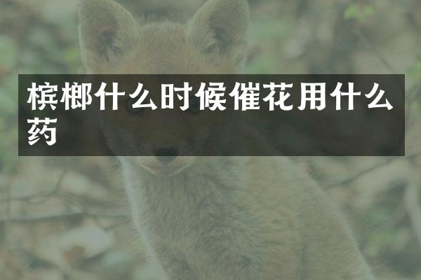 槟榔什么时候催花用什么药