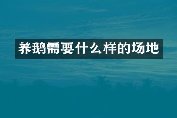 养鹅需要什么样的场地