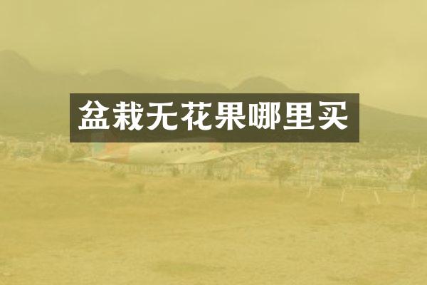 盆栽无花果哪里买