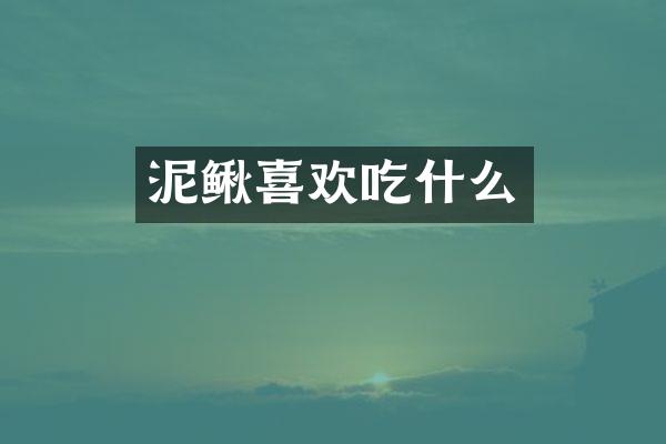 泥鳅喜欢吃什么