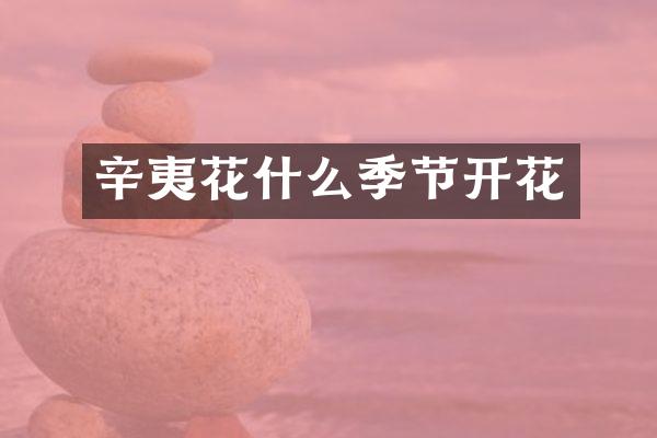 辛夷花什么季节开花