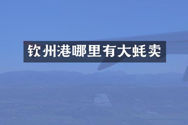 钦州港哪里有大蚝卖
