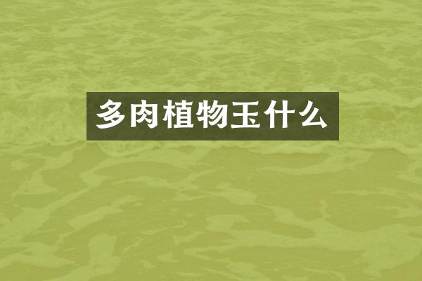 多肉植物玉什么