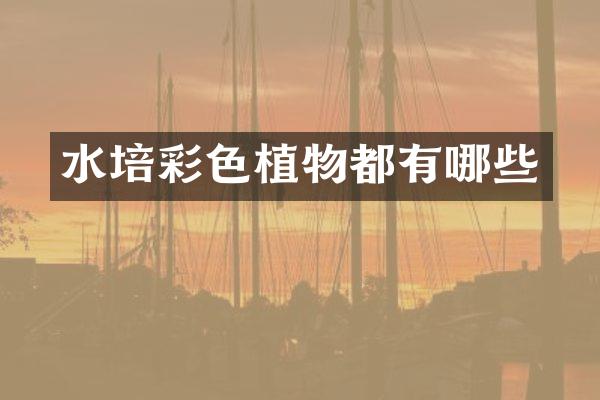 水培彩色植物都有哪些