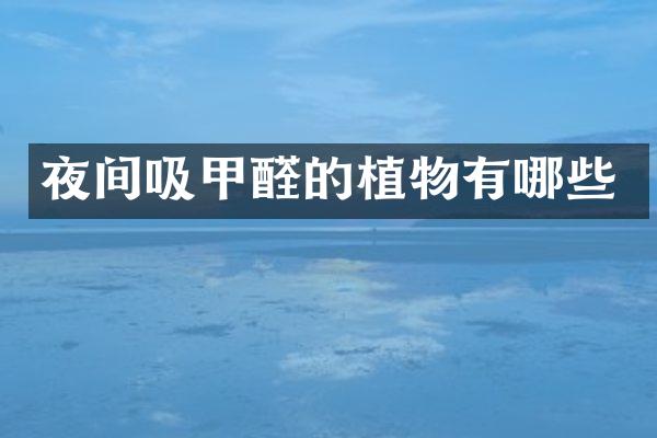夜间吸甲醛的植物有哪些