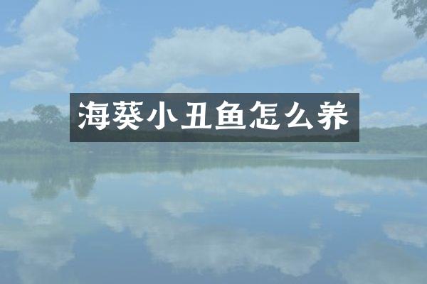 海葵小丑鱼怎么养