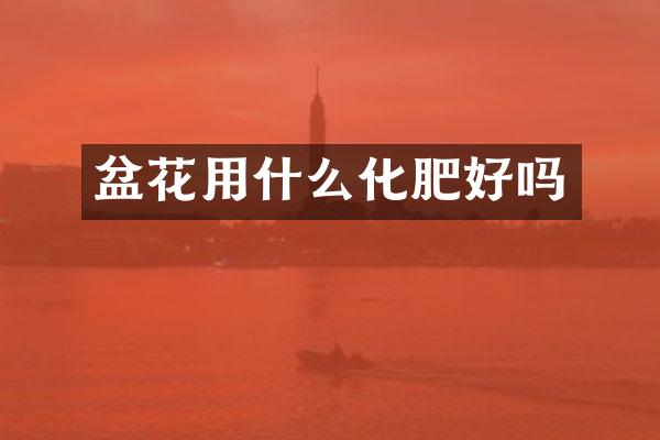 盆花用什么化肥好吗