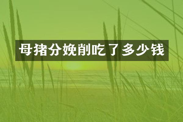 母猪分娩削吃了多少钱