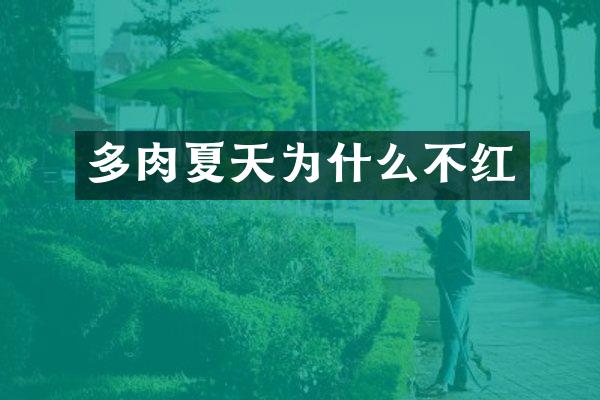 多肉夏天为什么不红