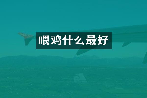 喂鸡什么最好