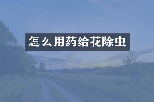 怎么用药给花除虫