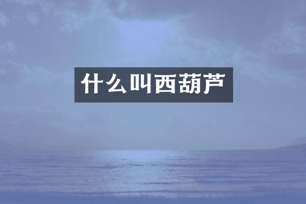 什么叫西葫芦