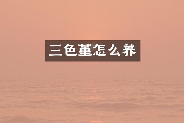 三色堇怎么养