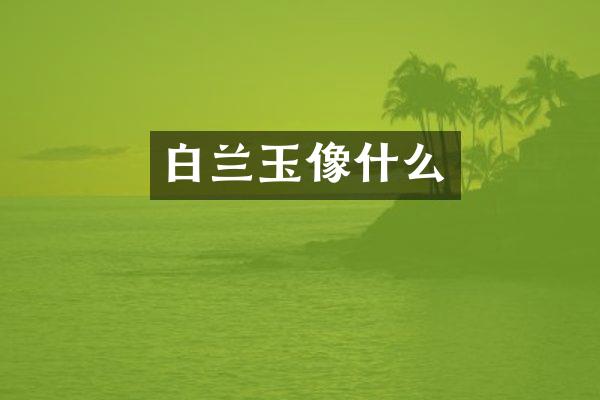 白兰玉像什么