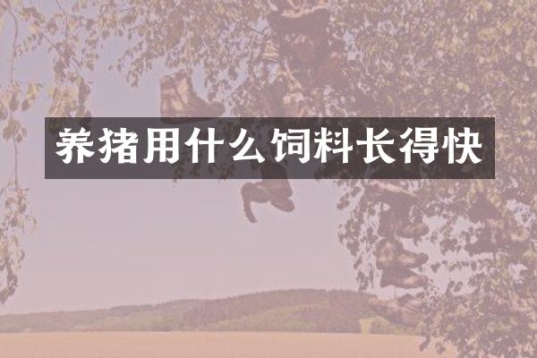 养猪用什么饲料长得快