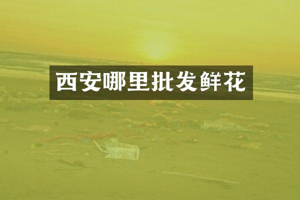 西安哪里批发鲜花