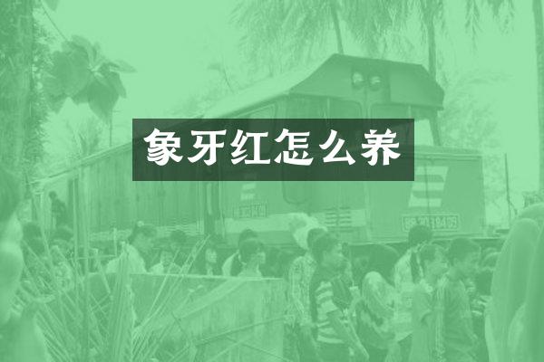 象牙红怎么养