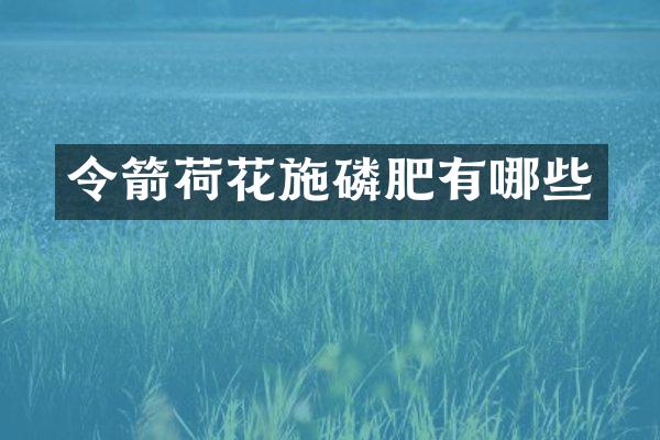 令箭荷花施磷肥有哪些