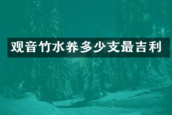 观音竹水养多少支最吉利