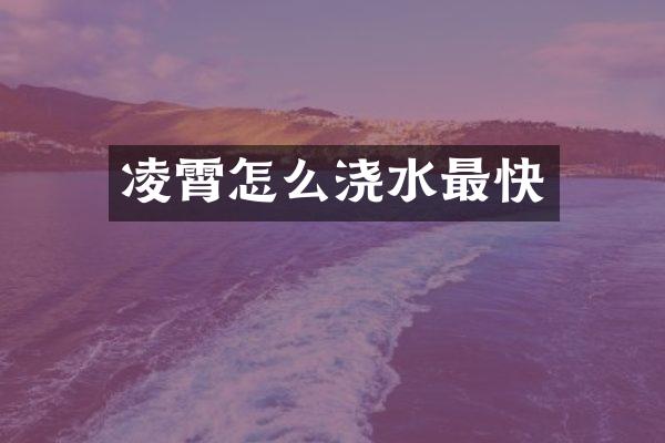 凌霄怎么浇水最快