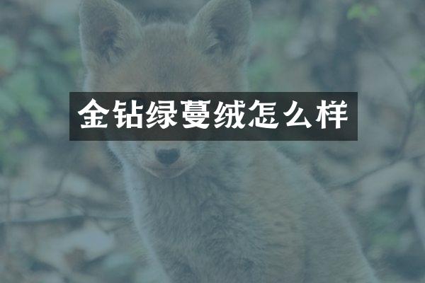 金钻绿蔓绒怎么样