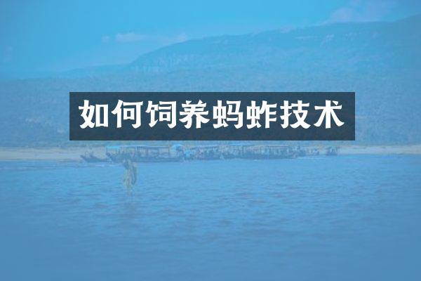 如何饲养蚂蚱技术