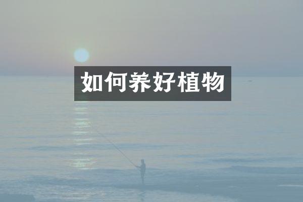 如何养好植物
