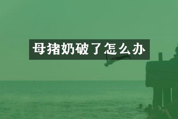 母猪奶破了怎么办