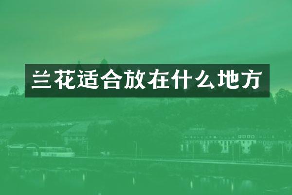 兰花适合放在什么地方