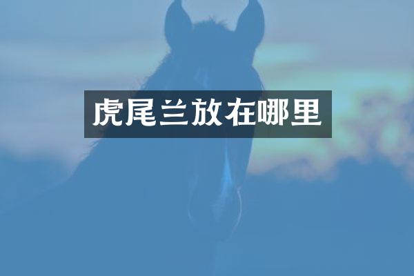 虎尾兰放在哪里