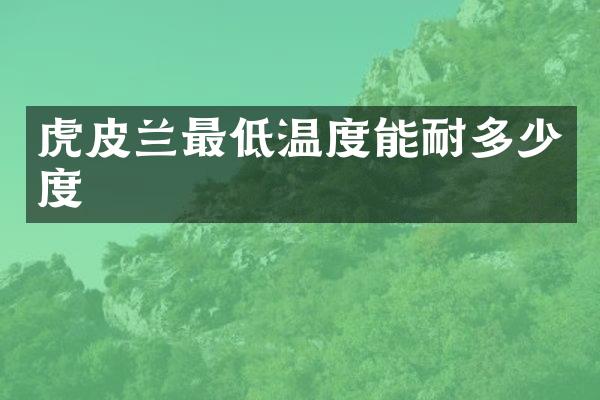 虎皮兰最低温度能耐多少度