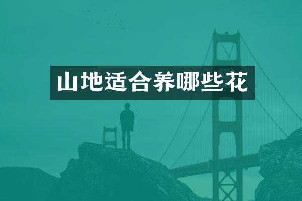山地适合养哪些花