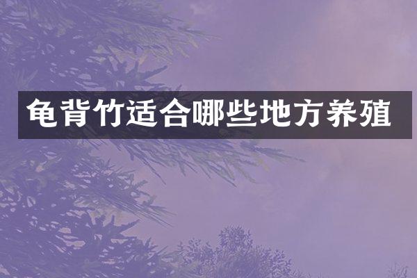 龟背竹适合哪些地方养殖
