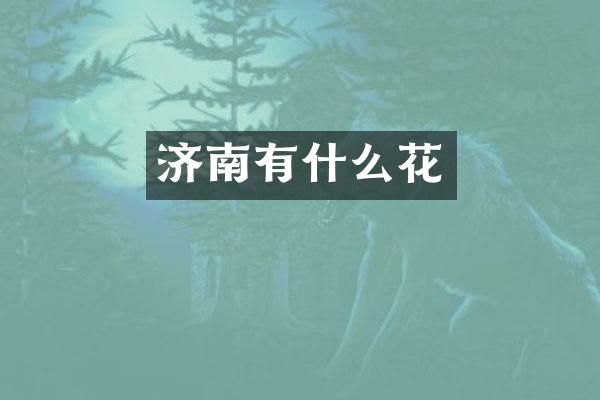 济南有什么花