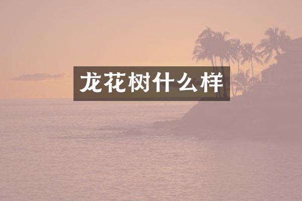 龙花树什么样