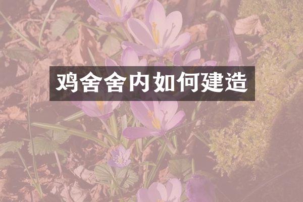 鸡舍舍内如何建造