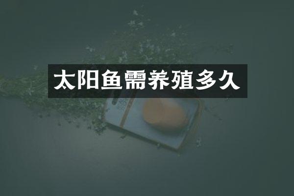 太阳鱼需养殖多久