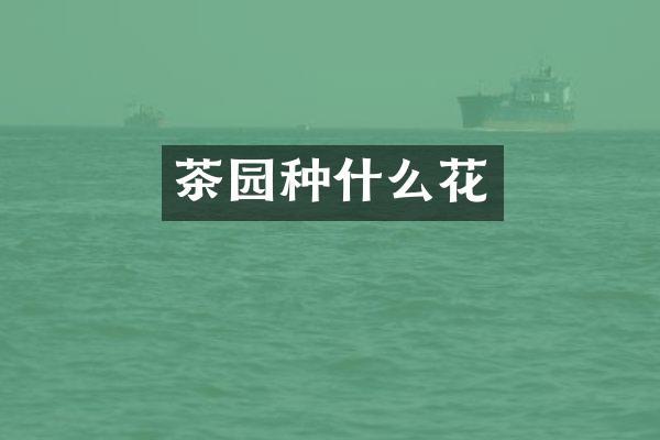 茶园种什么花