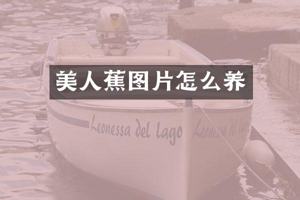 美人蕉图片怎么养