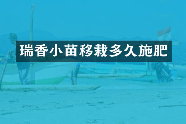 瑞香小苗移栽多久施肥