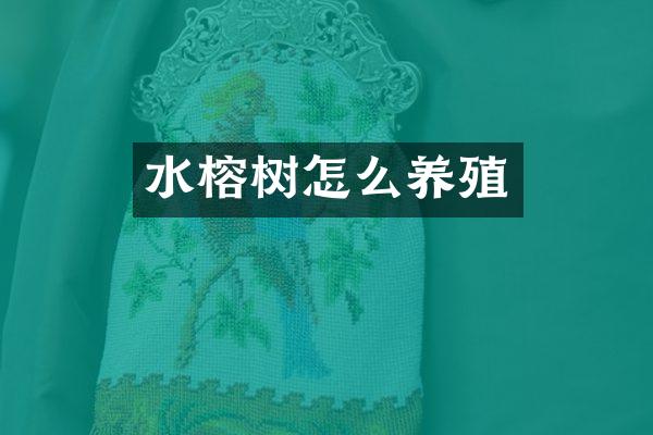 水榕树怎么养殖