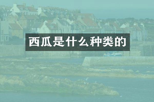 西瓜是什么种类的