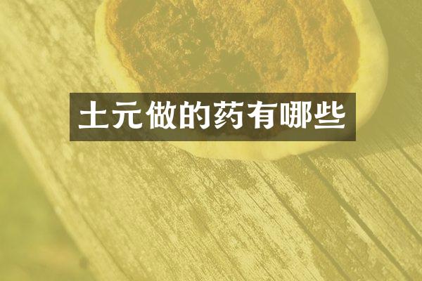 土元做的药有哪些
