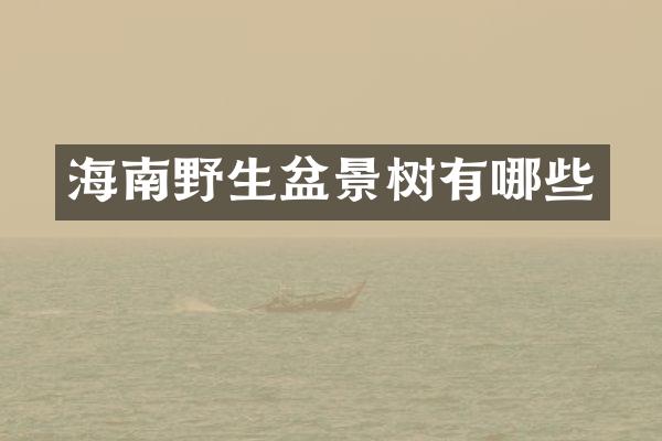 海南野生盆景树有哪些
