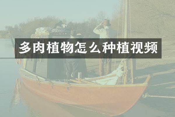 多肉植物怎么种植视频