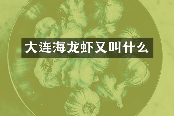 大连海龙虾又叫什么