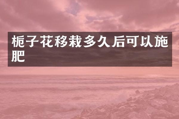 栀子花移栽多久后可以施肥