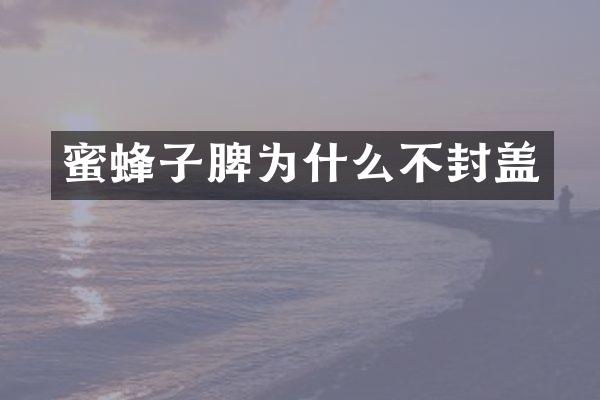 蜜蜂子脾为什么不封盖